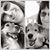 Joi Keeling's profile image