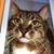Vicki Batwin's profile image