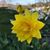 Kim Grasmick Hubsky's profile image