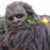 Cam Mourer's profile image