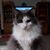 Carl Zachary's profile image
