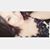 Misti Swinner Douga's profile image