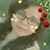 María Casandra Belén Asensio's profile image