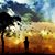Ignacio Castro's profile image