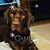 Christy Kincaid Beretta's profile image