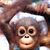 Mona Mos's profile image