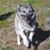 Jeremiah Johnson's profile image