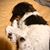 Amy Boe-Flicek's profile image