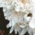 Nicole Metcalf's profile image