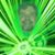Al Willen's profile image