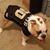 Phillip Brooks's profile image