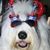 Suzi Sacha's profile image