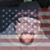 Paul Jenik's profile image