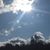 Amy Adams McCorkle's profile image