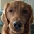 Angie Bradley Kelson's profile image
