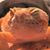 Bethany Anne Schaefer's profile image