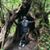 Tamara Lee's profile image