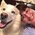 Amy Trombley's profile image