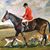 Tom Kirlin's profile image