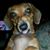 Karen Scherschligt's profile image