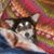 Karen McNeely McMinn's profile image
