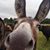 Donna Gardner Murray's profile image