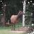 Linda Newton's profile image