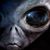Dru Bailey's profile image