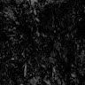 tara w.'s profile image