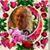 Pat Gitchell's profile image