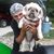 Tracy Bennett's profile image