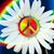 Lynda Turner's profile image