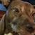 David Ledbetter's profile image