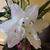 Sheila Forte's profile image
