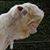 Eric Wellman's profile image