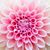 Darla Waters McGrath's profile image
