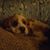 Mae Carlsen's profile image