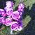 Helen Travis's profile image