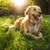 Jim Anderson's profile image