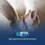 Carol Kaplon-Levine's profile image