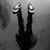 Dave Ebenstein's profile image