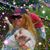 Norma Podos's profile image
