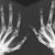 Rheum Gal's profile image