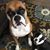 Janeen Triptow Schuon's profile image