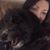 Brandi Smith's profile image