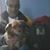 Oscar Lopez's profile image