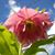Janet Butts's profile image