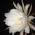 Peggy O'Hanlon's profile image