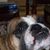 Jim Mandis's profile image