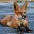 Victoria Davenport's profile image